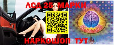 крисы Камышлов