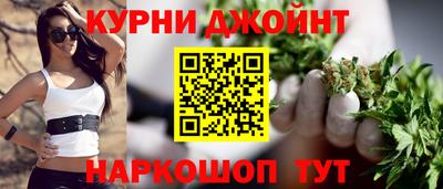 крисы Камышлов