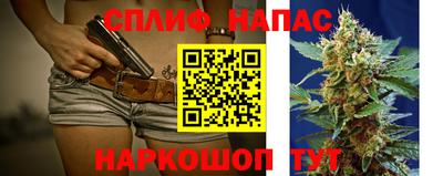 крисы Камышлов