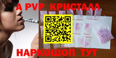крисы Камышлов