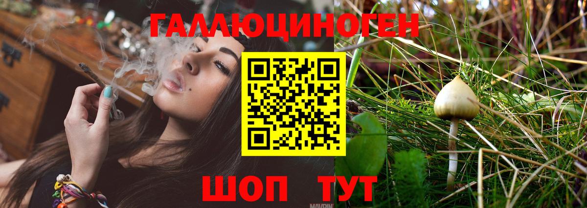 Комсомольск-на-Амуре  Псилоцибиновые грибы мухоморы  купить   Галлюциногенные грибы прущие грибы  Вход с VPN 